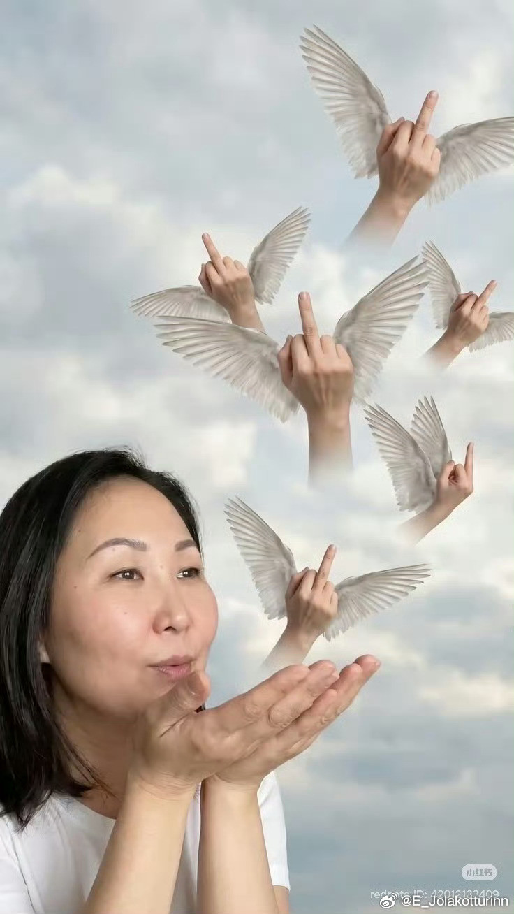 你问我对欧洲圣母说“开空调是冷了但是地球却热了”，呼吁大家不要开空调一事怎么看，