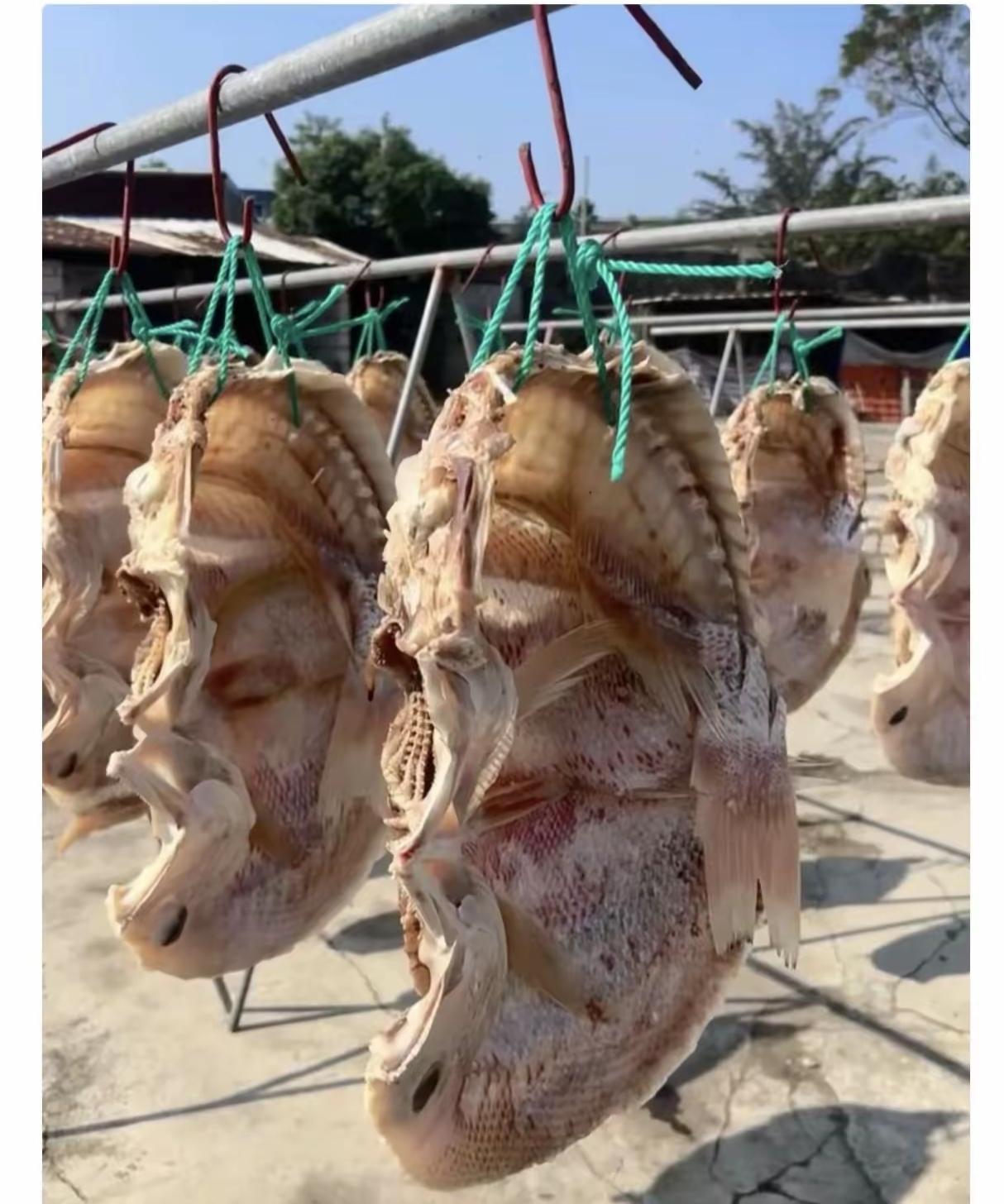 不是我吹，90%的人不知道这是啥东西？