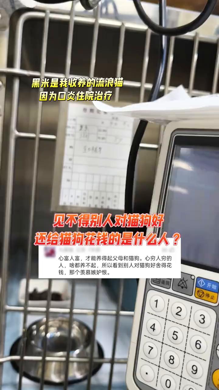 黑米是我收养的流浪猫，因为口炎住院治疗。见不得别人对猫狗好，还给猫狗花钱的是什么