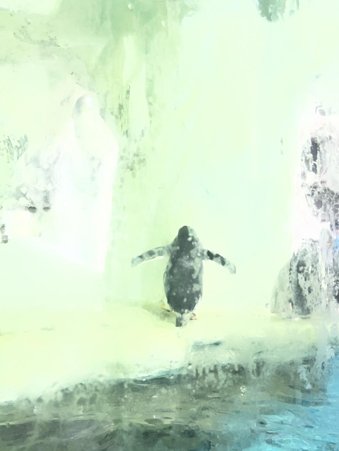 最近听到两句话，一句扎心，一句实在。第一句：如果你发现自己是房间里最聪明的人