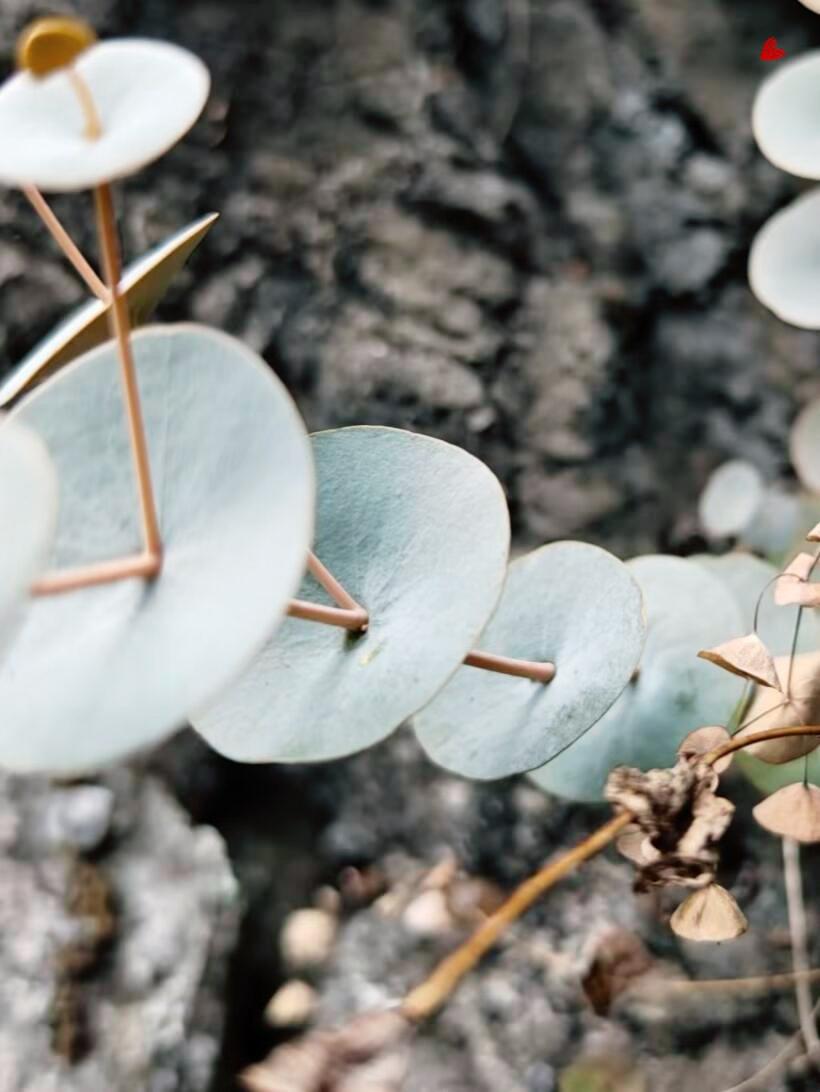 苏格拉底说："如果你开悟了，那么人间就是天堂，你就是来玩的。结婚是玩，离婚也是玩