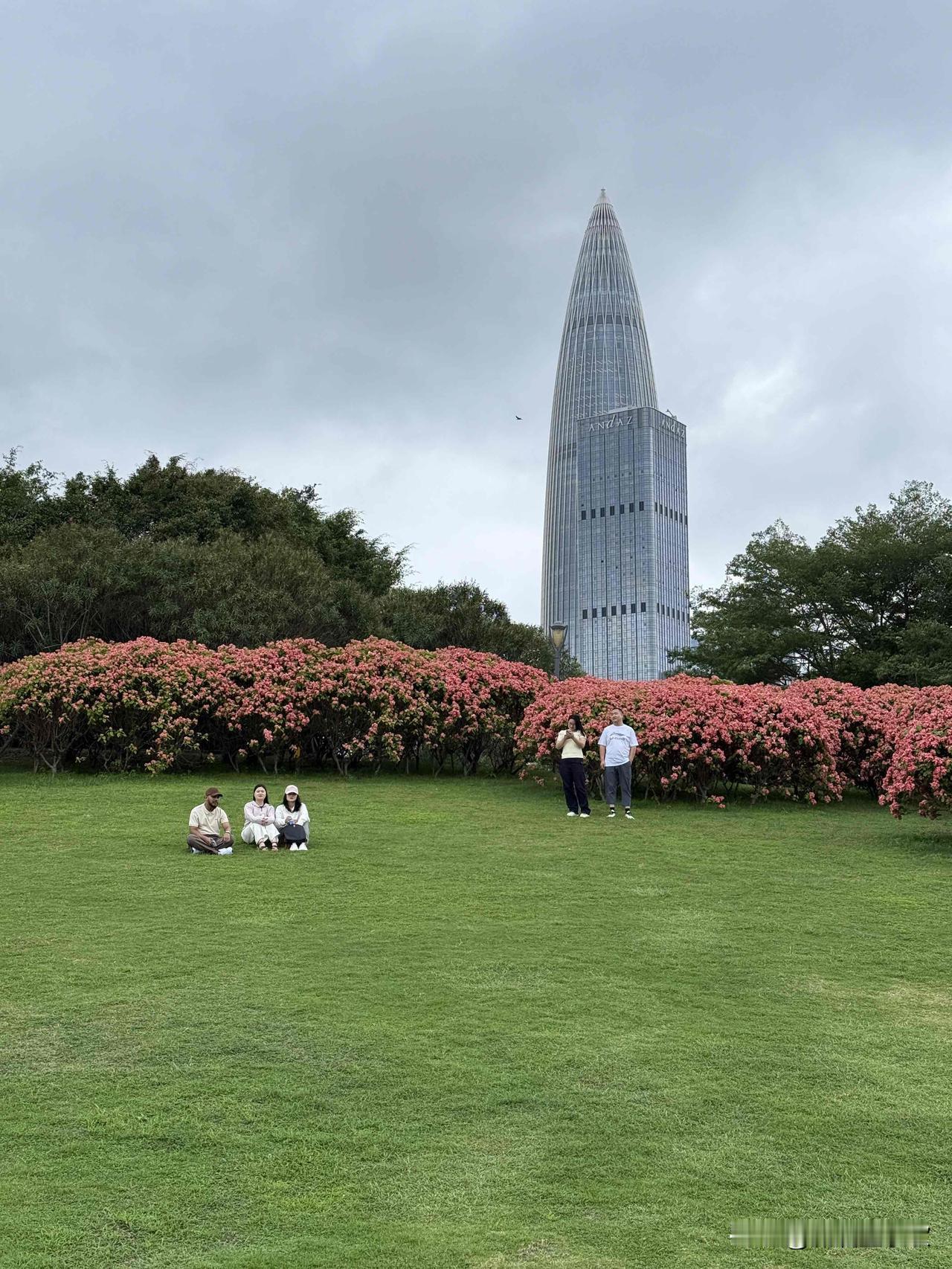 深圳湾真的是拍照打卡的宝藏地！它海岸线长达13公里，有14个主题公园。后海大桥