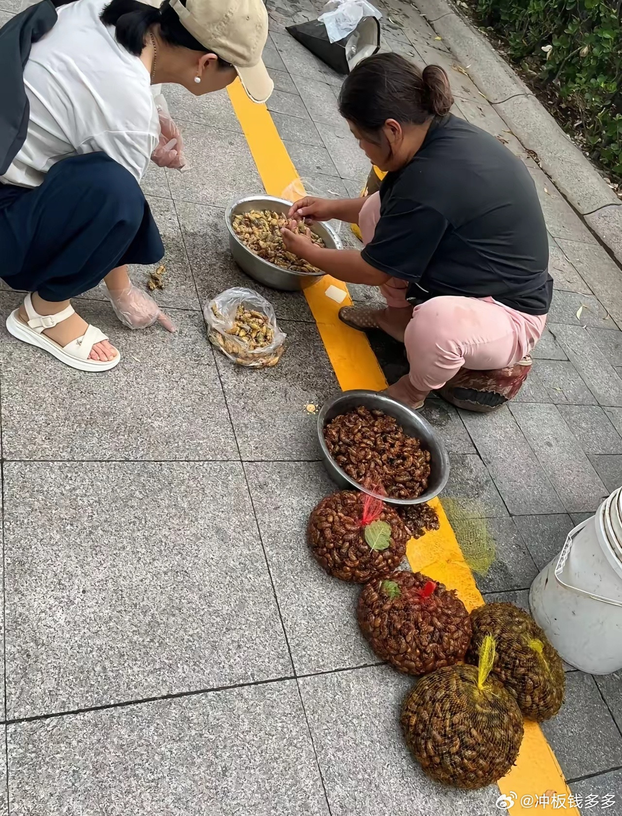 现在都卖到八十五一斤了，价格涨得离谱，为啥还有不少人争相购买