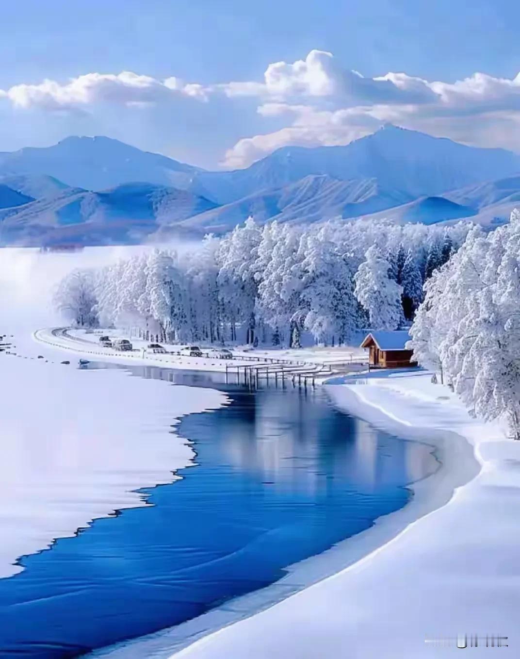 今天是大雪。一天比一天冷了，秋收冬藏。冬天的意味，大约就在这“收”与“藏”里吧。