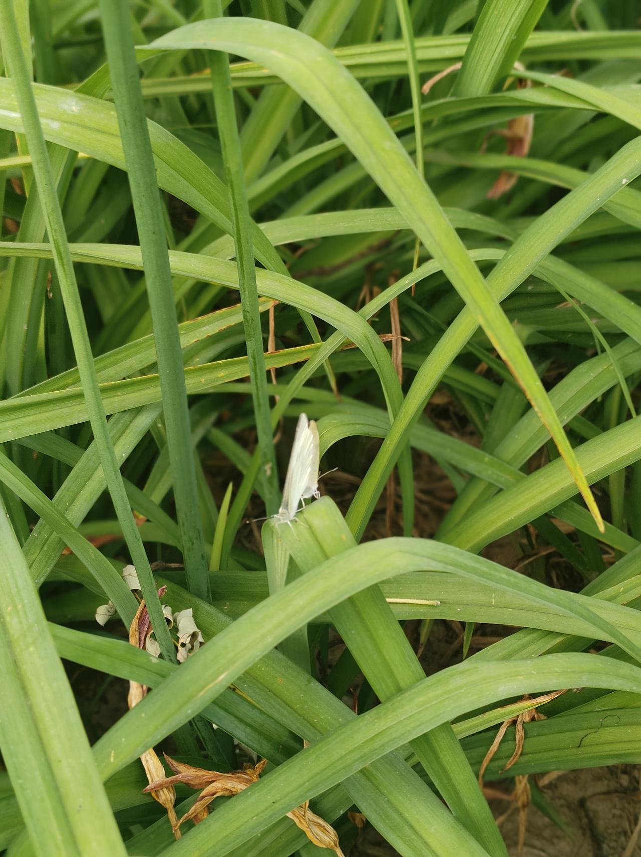 读懂《菜根谭》这几句话，余生不再内耗人生万般烦恼，皆由心起。很多时候，困