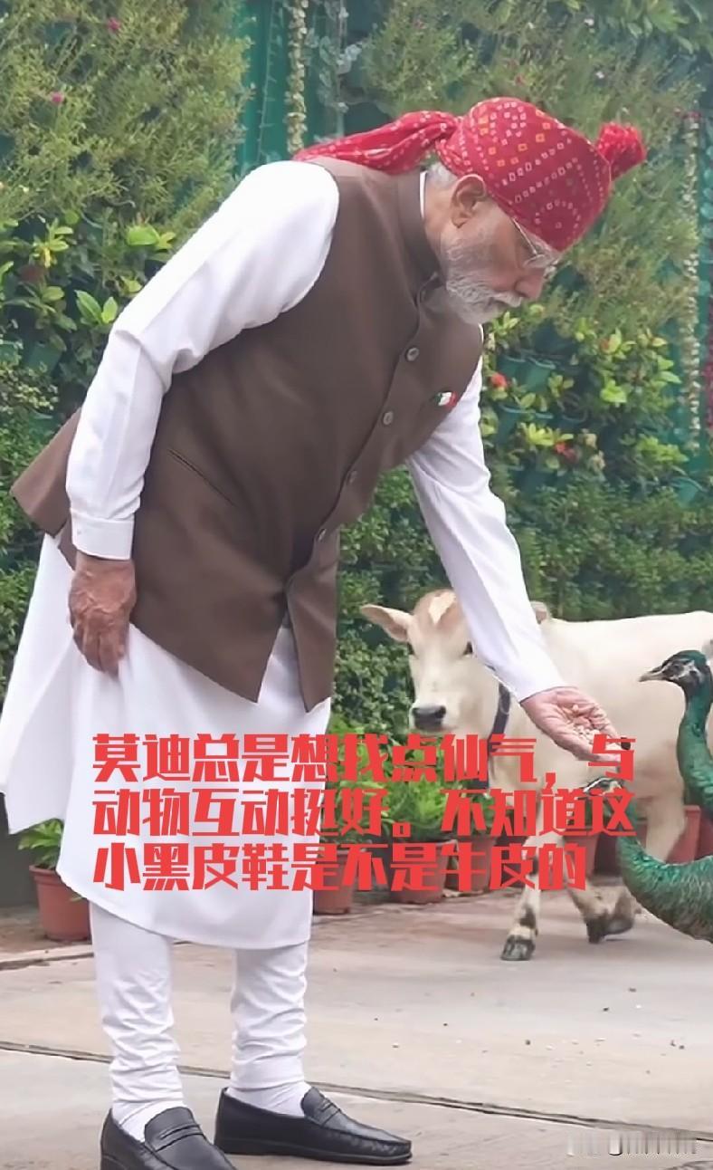 莫迪还是没睡醒，竟然宣称世界局势动荡不安，世界视印度是一个亮点和增长点。莫迪自己