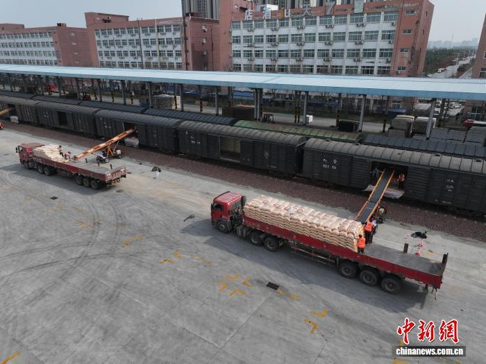 河南抢抓秋粮外运关键期 铁路部门畅通运输大通道