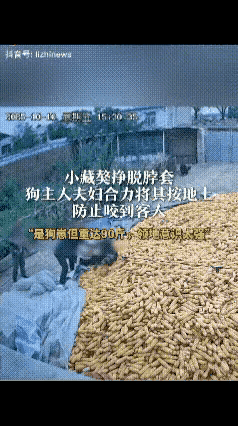 万万没想到！辽宁锦州张先生家这事儿，把“万物有灵”四个字演得明明白白！家
