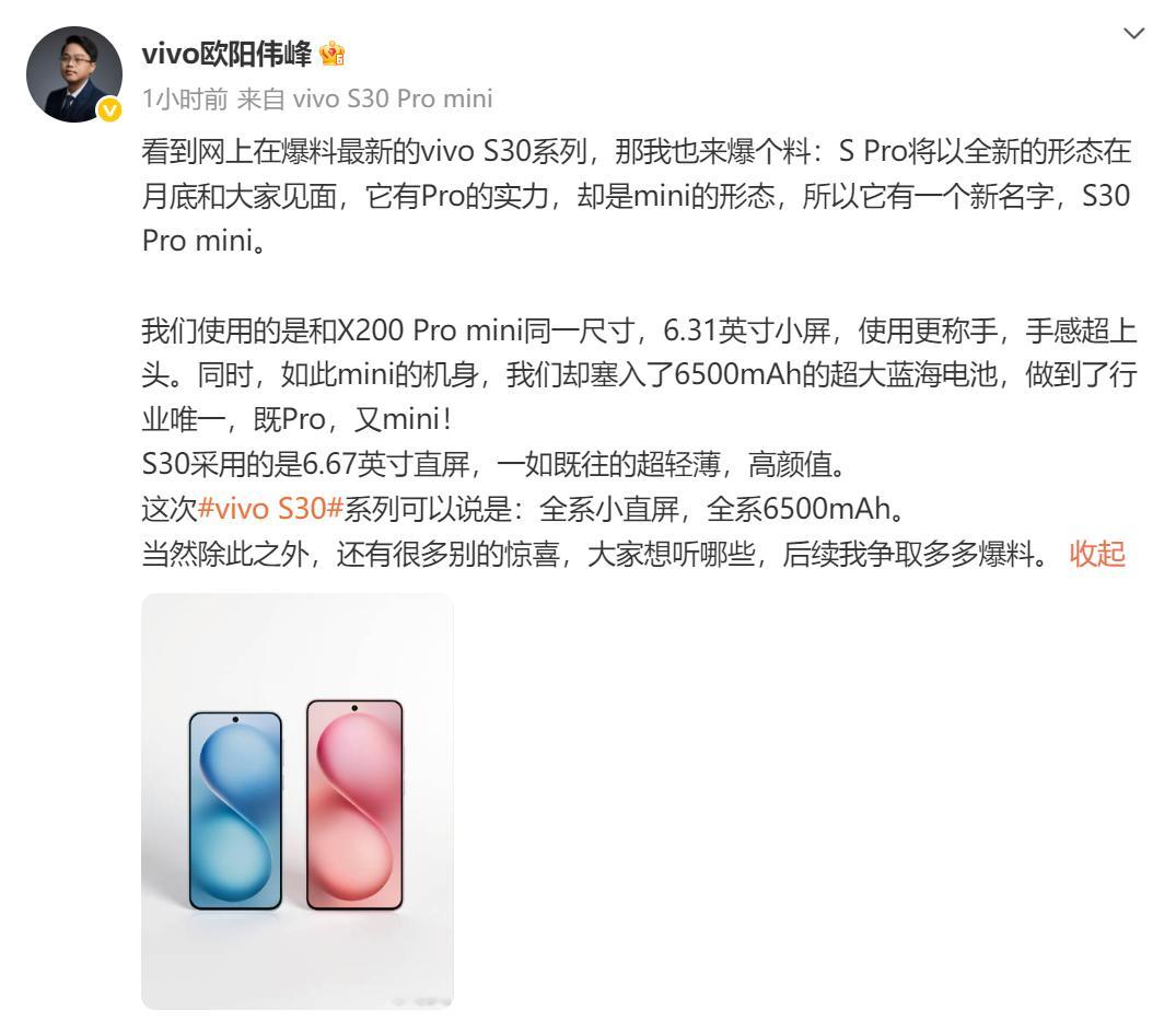 蓝厂S系列小屏影像旗舰5月底见！作为“既Pro又mini的轻薄果味小直屏”，vi