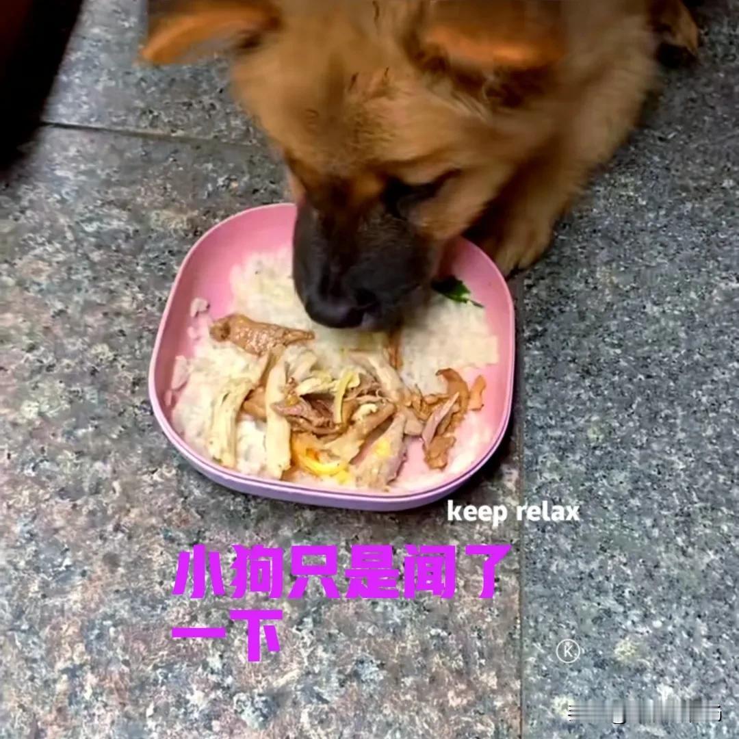 女子养了一只中华田园犬，今天有点忙就没有做饭，在线上点的外卖。女子特意点了两份，