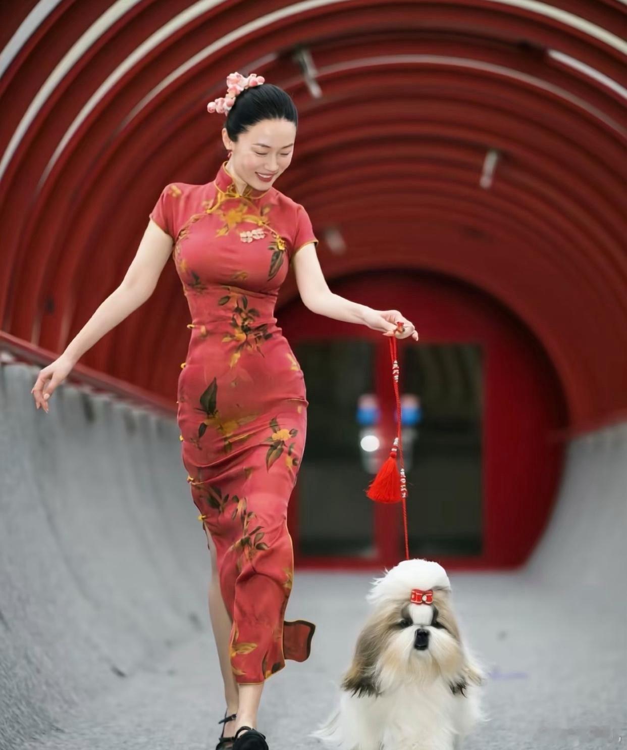 1.霍思燕计划考取宠物相关专业证书，以此丰富自身标签，打算深耕豪门宠物相关赛道