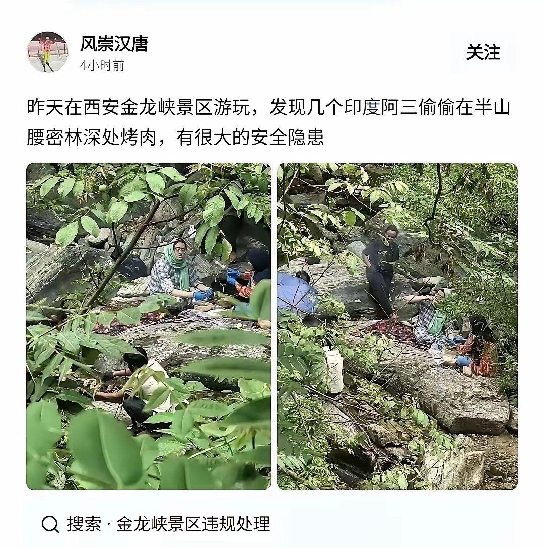 几个印度人蹲在秦岭半山腰，火刚点着，烟就从树缝里往上窜，被头顶的松枝压住散不出去