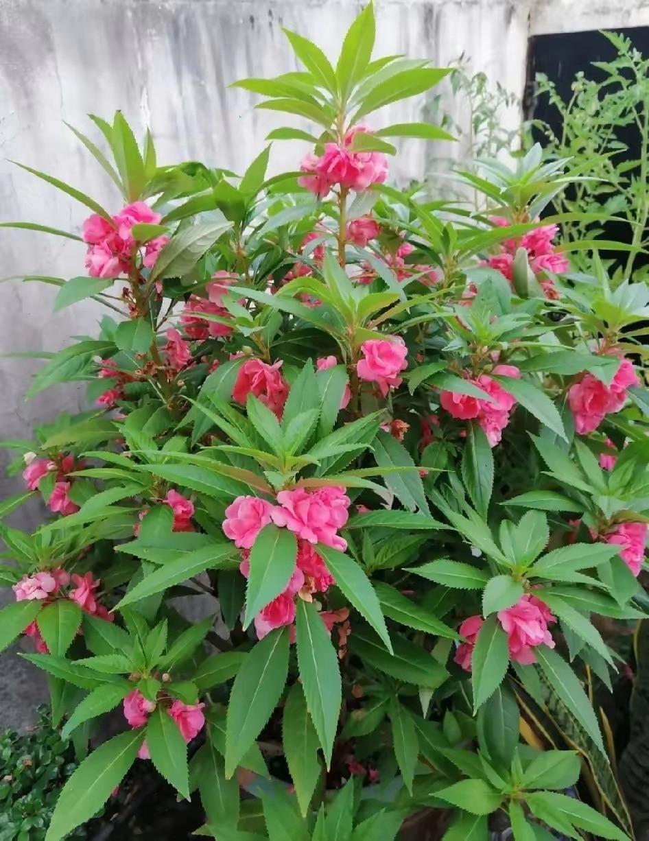 国家电网的市局，985硕士是起步价。进去之后，学历那张纸就收起来了。车间里，图