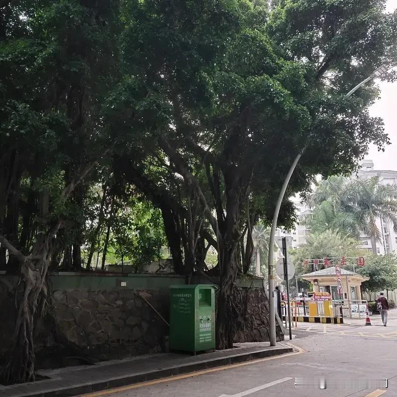 让孩子住宿和走读差别还挺大。住宿能锻炼孩子独立性，像整理内务、安排时间都得自己来
