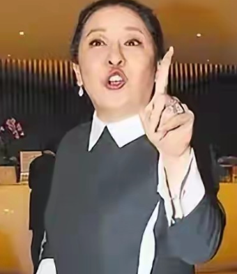 向太冲上热搜是给闺蜜鲁豫撑腰她说鲁豫那个“大头”不是白大的，“里面装了很多东西