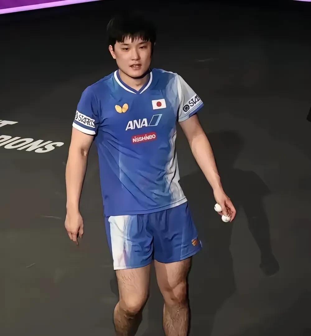 张本这次可算是玩过头了，不仅得罪了国乒球迷，就连日乒恐怕也待不下去了，年纪