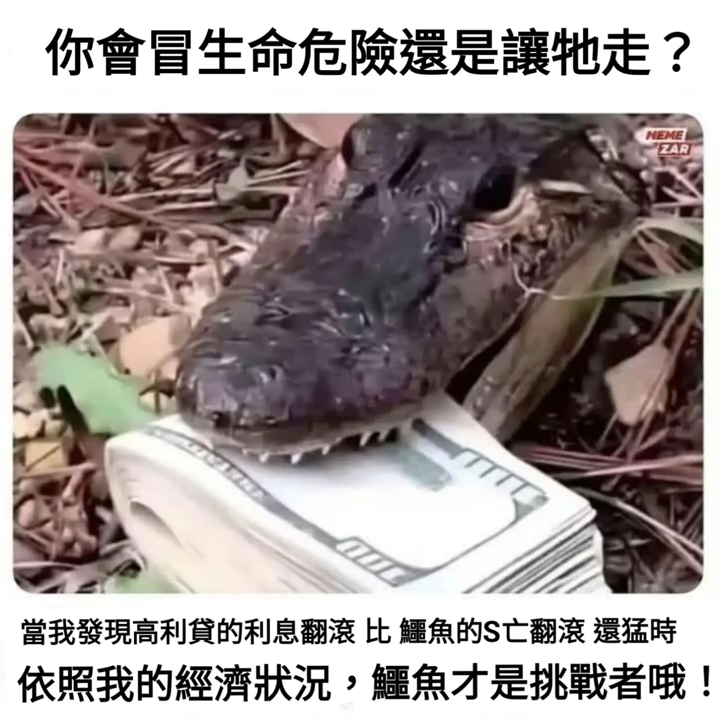 还有鳄鱼皮鞋memes​​​