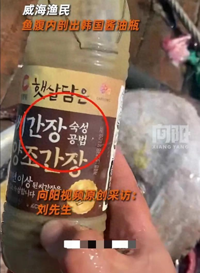 “离了个大谱！”1月7日，山东威海，一男子出海捕鱼时，竟从一条海鱼肚子里掏出一个