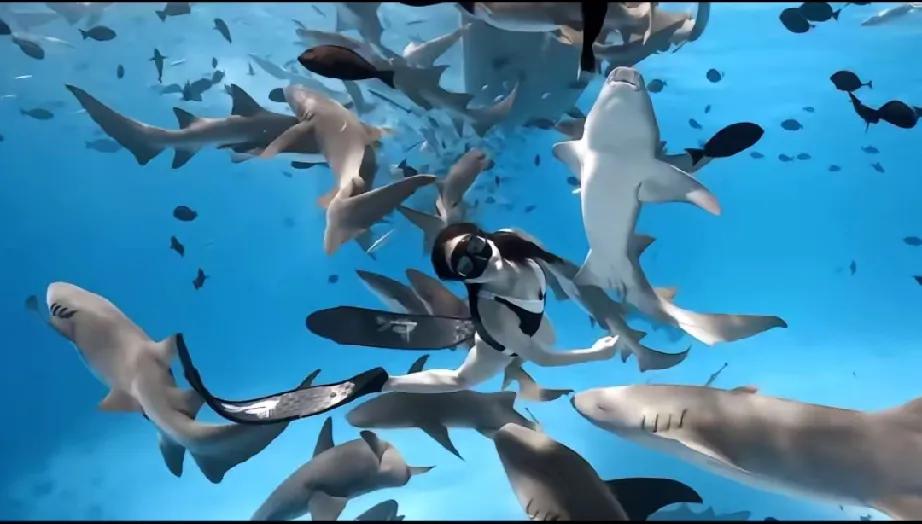 家人们谁懂啊！一直被大家昵称为“关小怂”的关晓彤，这次直接来了个大反转！她居然独