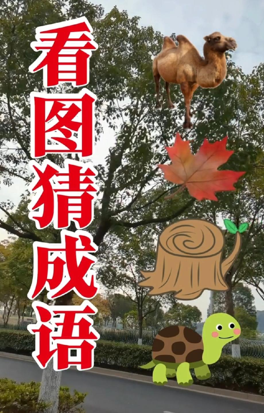 傻眼！骆驼枫叶树桩凑一起猜成语，我想破头都不知道，评论区求答案