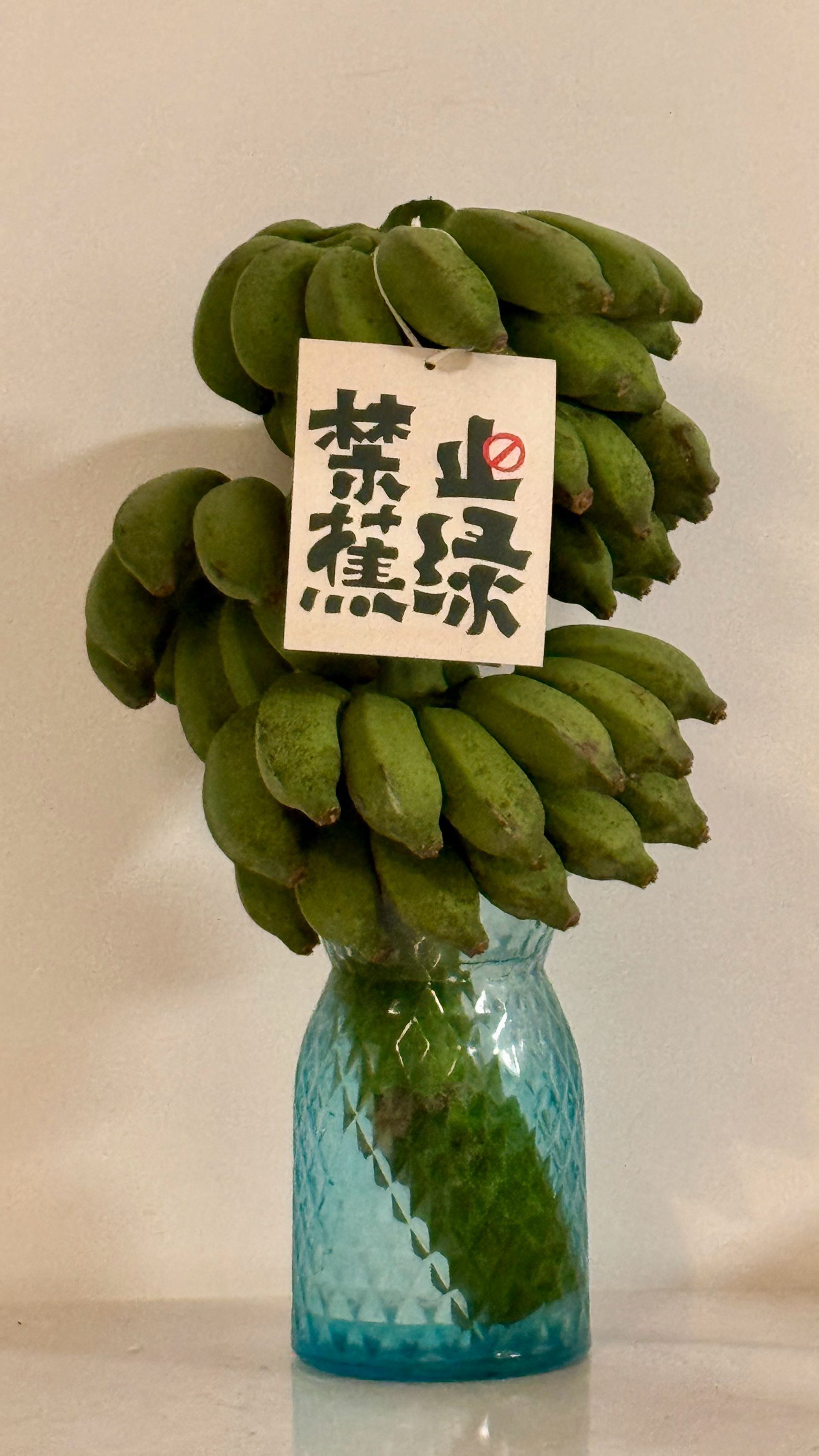 三天就开始蕉黄，每天摘几个吃，既有情绪价值，又有营养价值