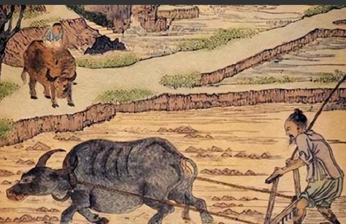 “我国古代没有牛，牛是建国后从美国引进的，它的原型是美国野牛”，这个说法一出，立