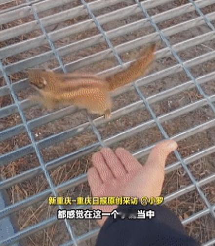 “解释不清了！”四川，一男生去稻城亚丁旅行，中途累了坐下休息，没想到，刚坐下不到