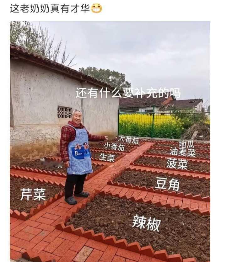 这老奶奶真有才华