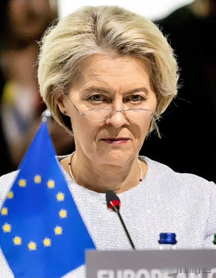 欧洲联盟驻华商会公开向我们发出警告！法新社报道，12月10日，欧洲联盟驻华商