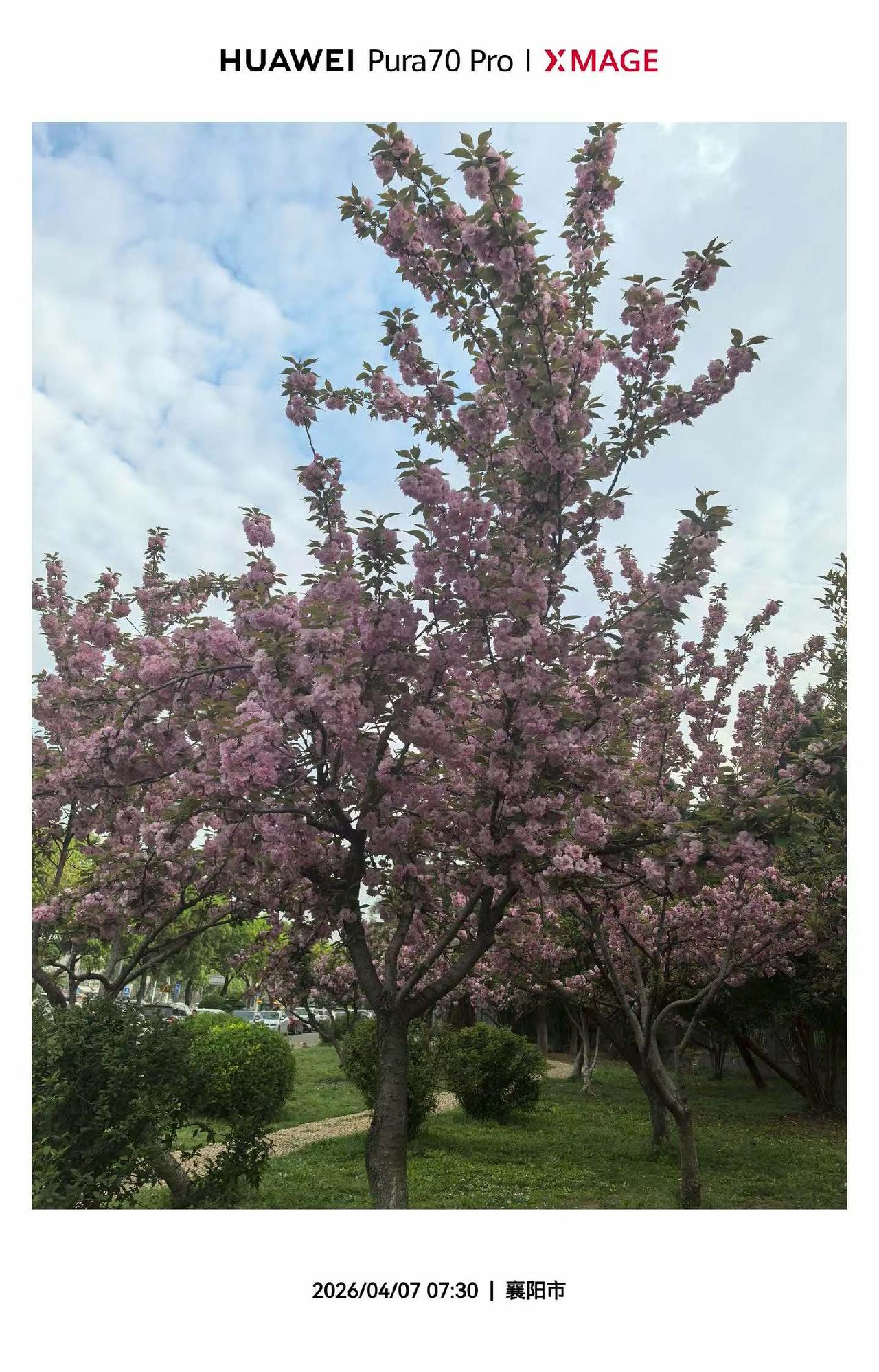 恒大老许一审未宣判结果，但老许对他的八宗罪，当庭表示认罪悔罪。老许的人生也是非