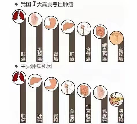 我国七大高发恶性肿瘤。