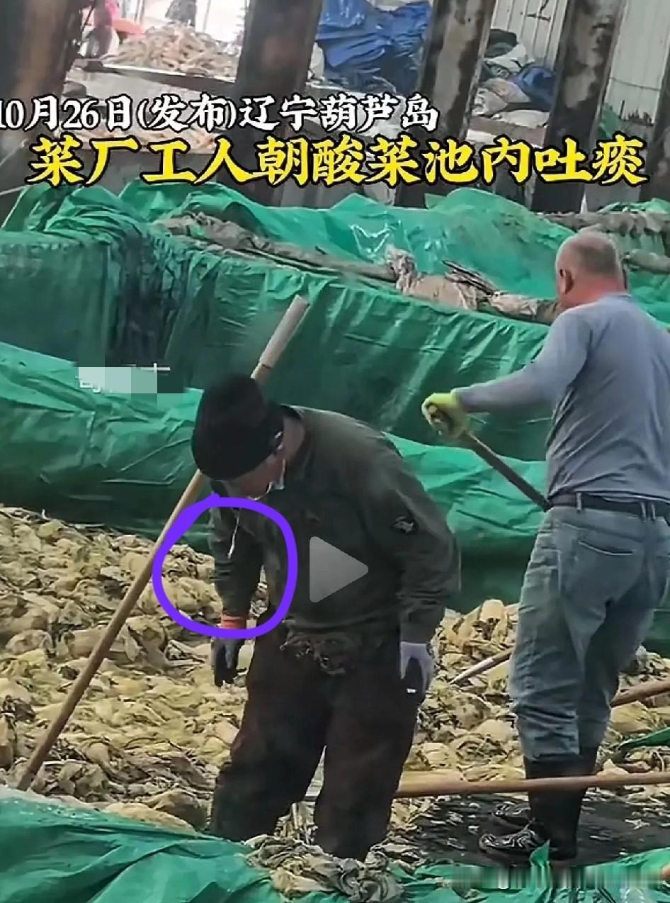 东北的酸菜登上热搜了。网传在辽宁葫芦岛的一家酸菜加工厂,有工人在酸菜池里打捞酸菜