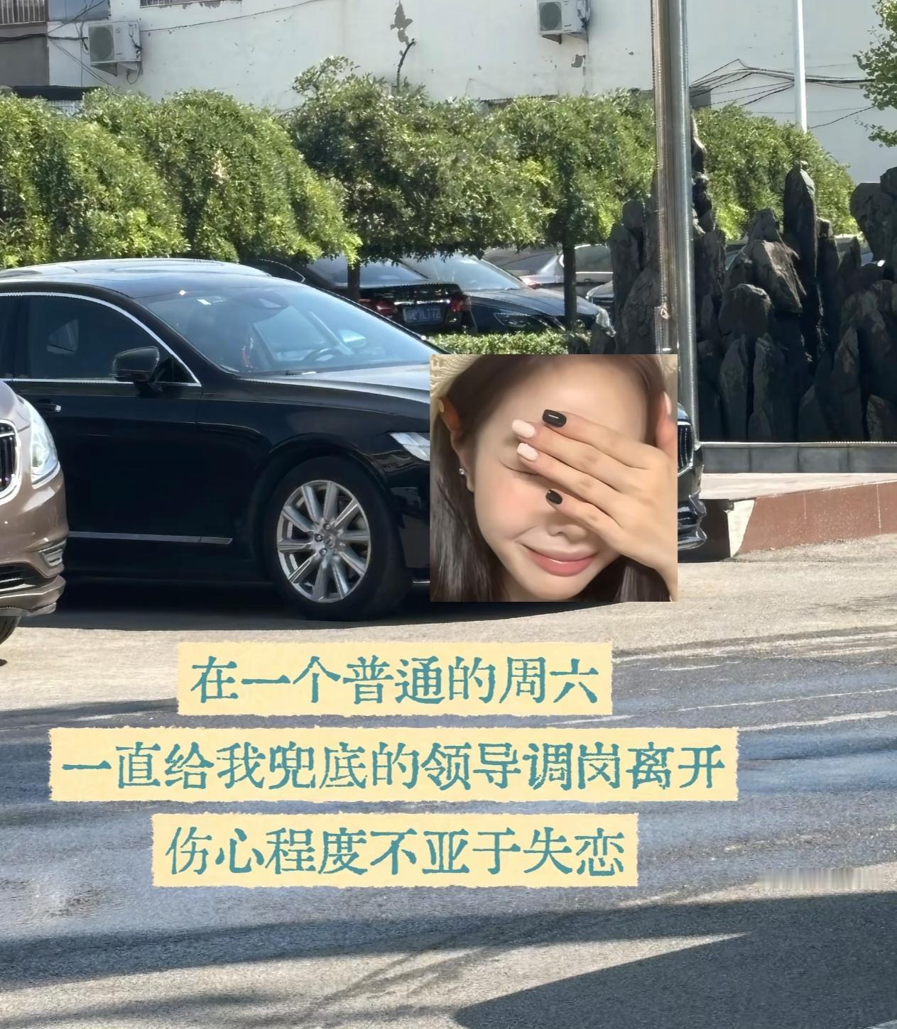 我的第一任直属领导退休那天，我忍不住哭了。我20岁踏入职场，就在她手下工作，
