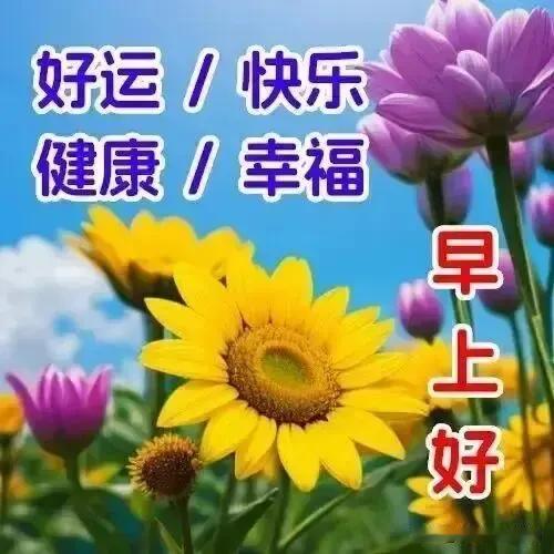 一日一相逢，网络传心声。见字如见面，深深祝福情。彼此多保重，相伴一路行。只