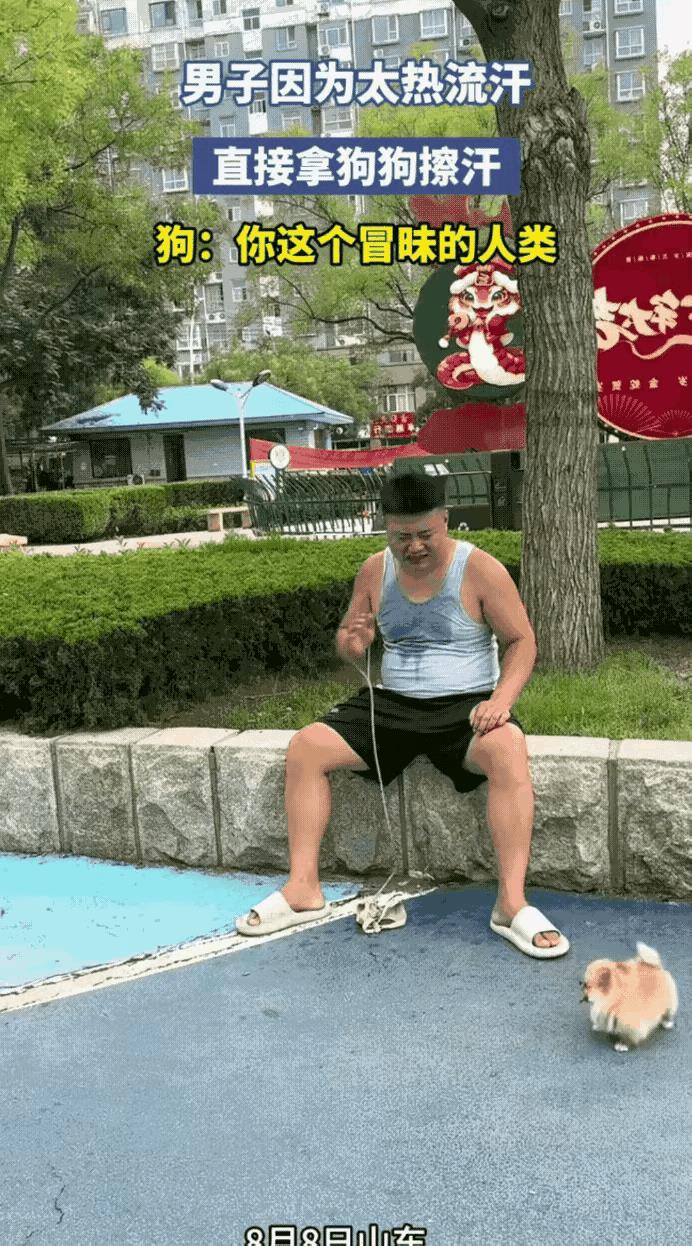 这个主人太不靠谱，男子牵着狗狗去遛弯，热的汗流浃背胸前都湿透，他一把把的甩着却找