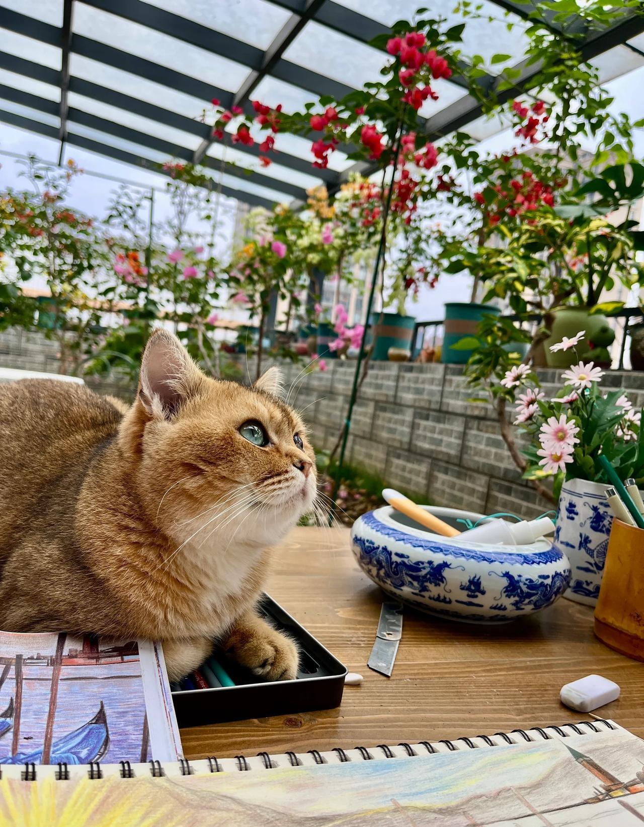 照顾老人这俩月，我算是真真切切明白了什么叫人性的考验——这话听着就扎心，可现实啊