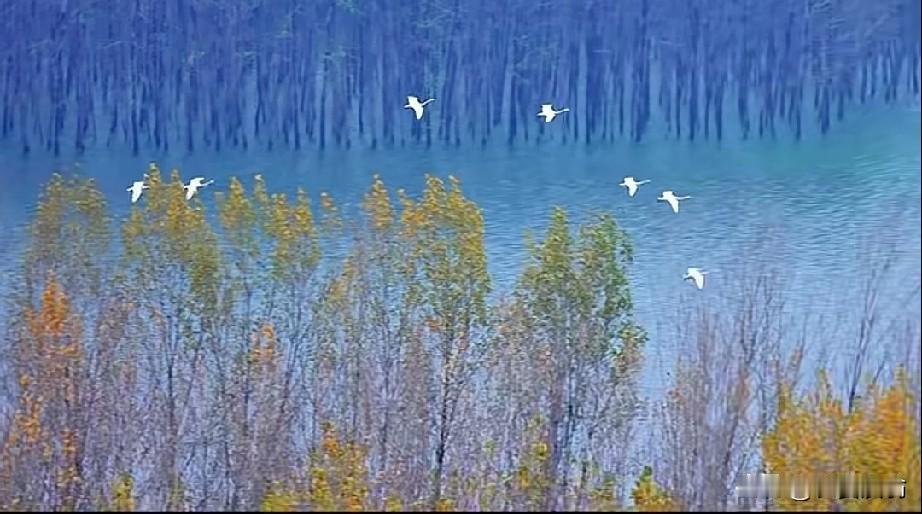 如果一个社会最好的工作只有进入某个组织，进入体制内，收益最大的是当官这条路，这个