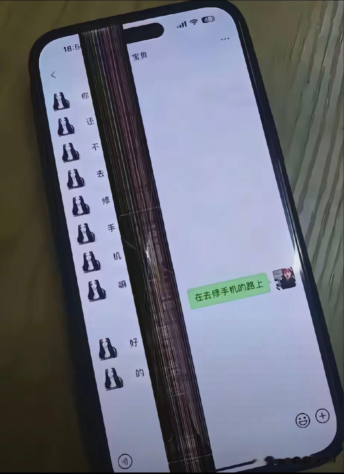 左边的脑子真聪明[赞]