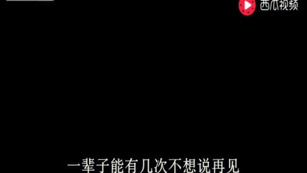 陈琳 我不想说再见 至爱亲朋 片尾曲