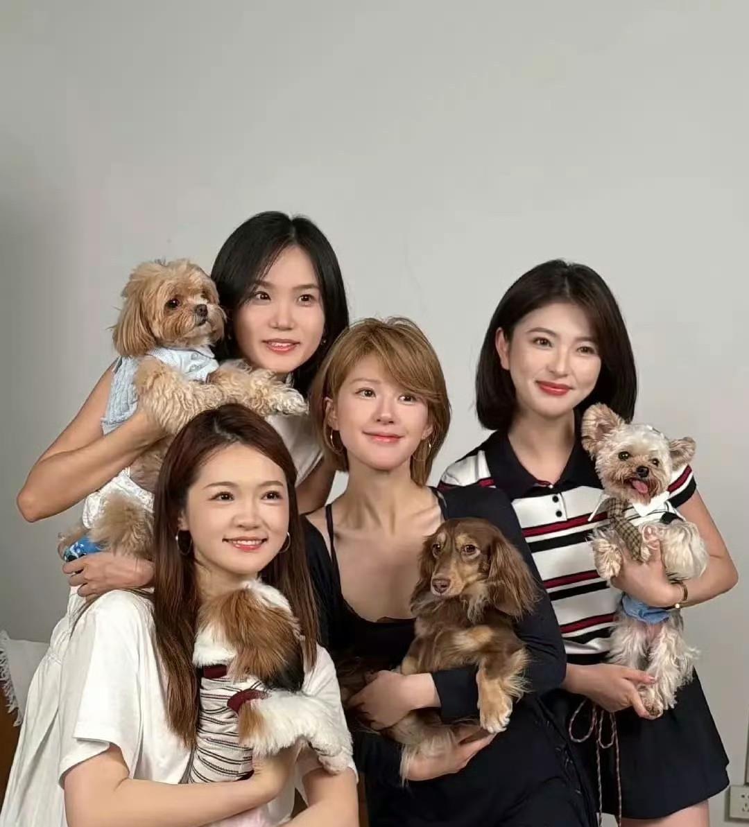 6月17日，赵露思与网红、流浪狗合影！很多人不理解，为什么赵露思老跟网红混迹在