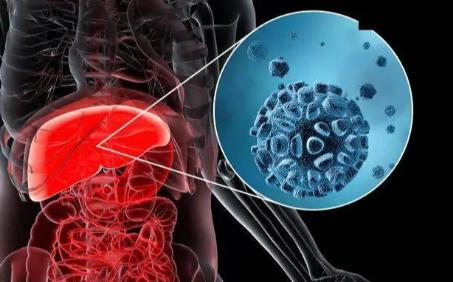 乙肝“有没有治好”不止看表面抗原，这几点更关键！很多乙肝患者把“表面抗原转阴”