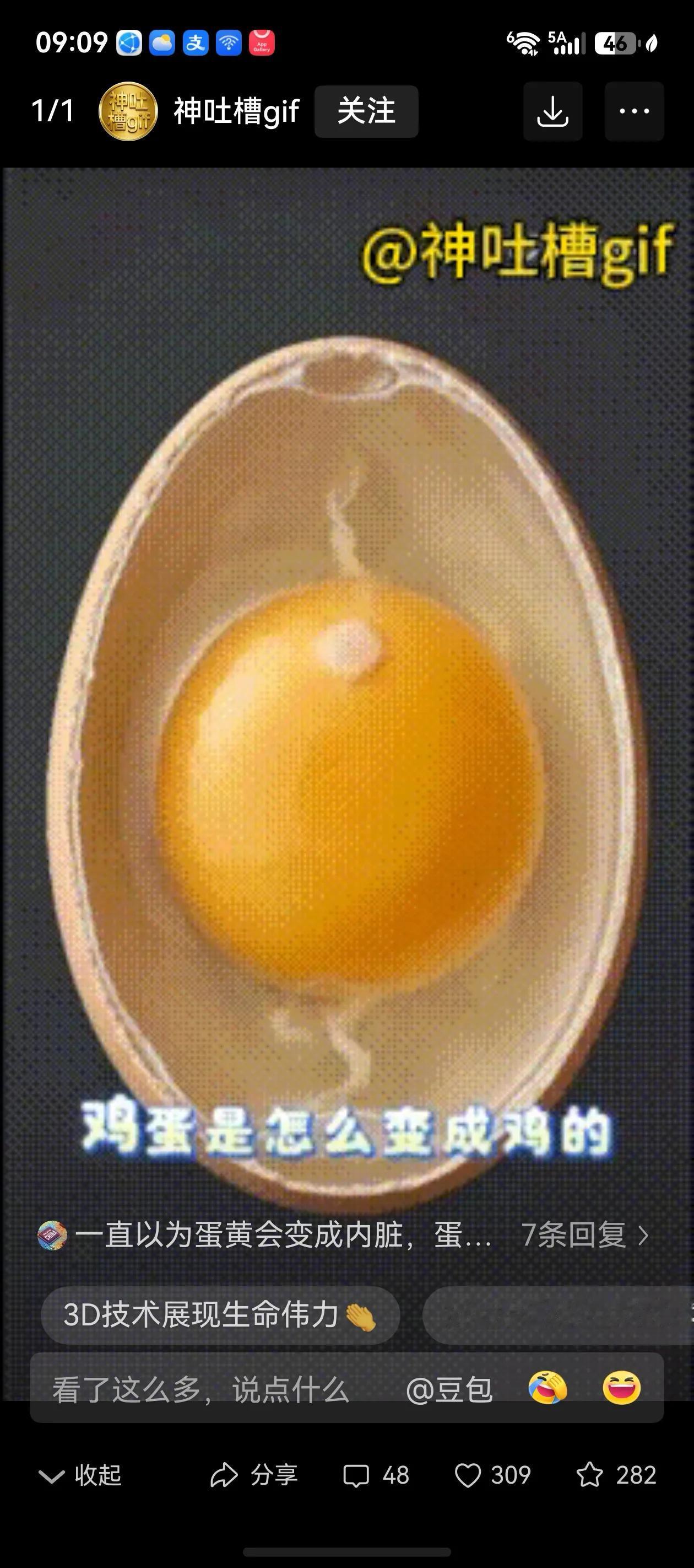 还一直以为小鸡仔是蛋黄形成的。看了这个3D动画，才知道，那个小白点才是。原来