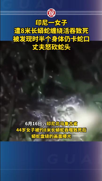 6月16号，印尼北马鲁古省出了一件让人头皮发麻的事。一个44岁的女人，被一条将近
