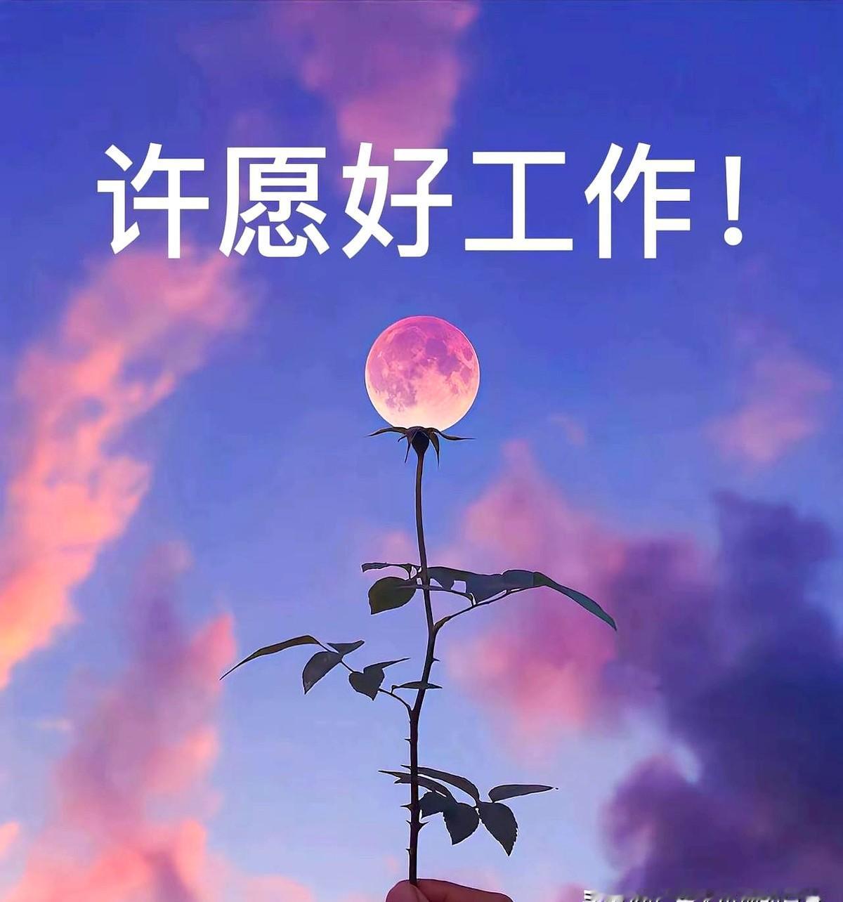 我发现一个找工作的技巧你去找工作一定要找自己能力配不上的因为工资低的工作