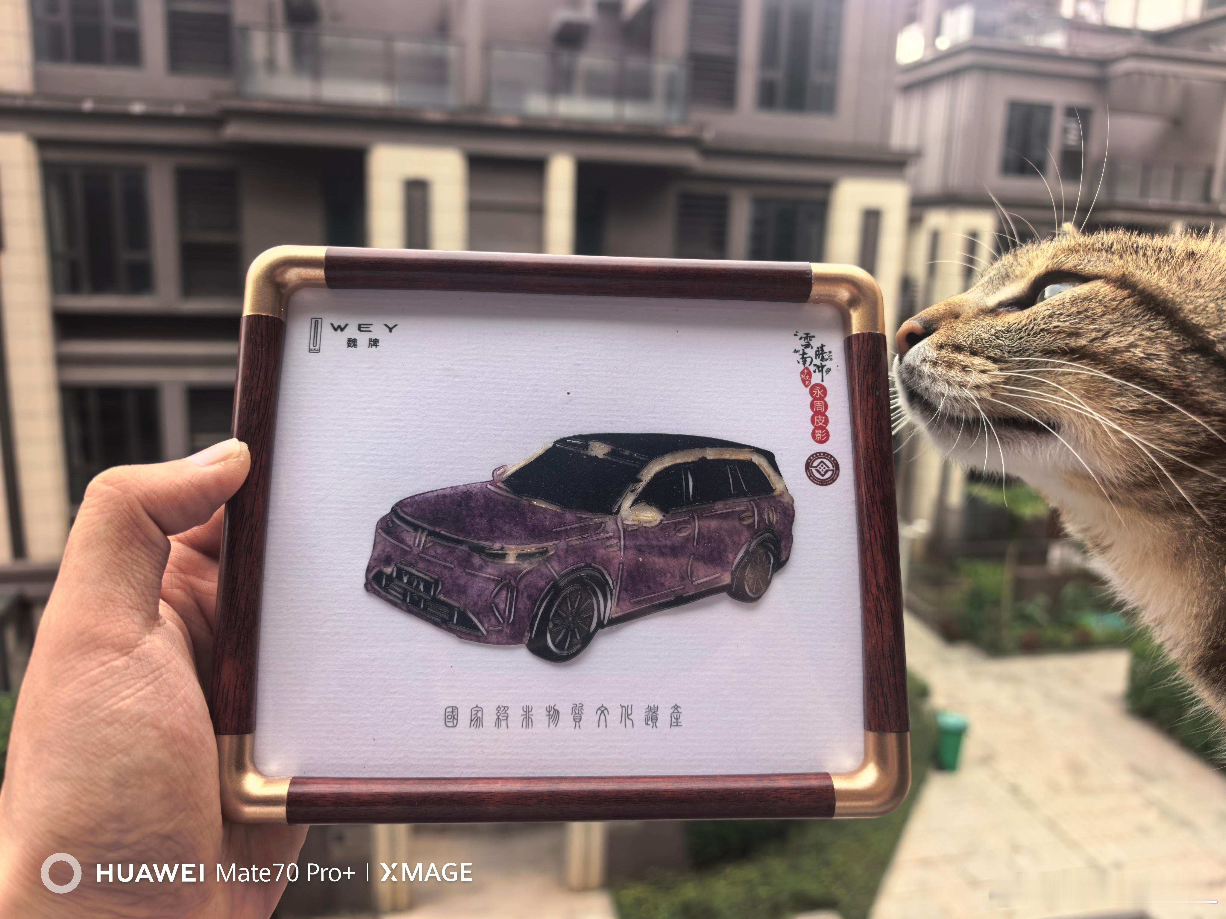 卧槽，忘了件重要事情。上个月抽奖，魏牌V9X的手工皮影。抽中了，一直忘了发货，也