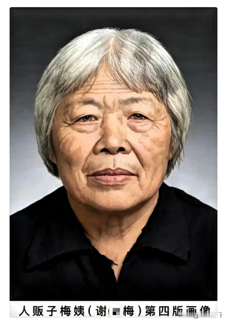 刚去查了一下梅姨。不查不知道。一查吓一跳，本以为这号人物藏了这么多年，怎么也得混出点名堂，结果呢？窝