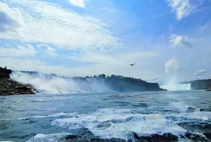 一位退休老师把住了十五年的学区房卖了，238万到账后直接打给温哥华的儿子。儿