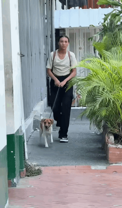 第一次从狗的眼中却看出了恐惧。