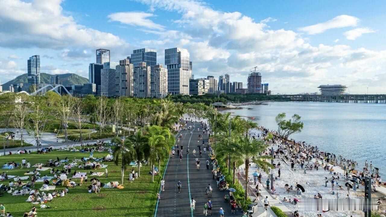 这位深视新闻的记者认知力要刷新了，他以为出了地铁站就能看海的地方除了深圳湾就是大