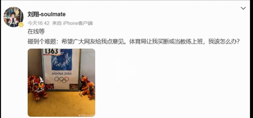 怀疑过刘翔是在炒作，也怀疑过刘翔是想带货。万万没想到，他一条微博，直接让所